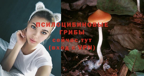ГАЛЛЮЦИНОГЕННЫЕ ГРИБЫ Сретенск